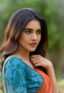 Nabha Natesh Latest Saree pics Goes Viral