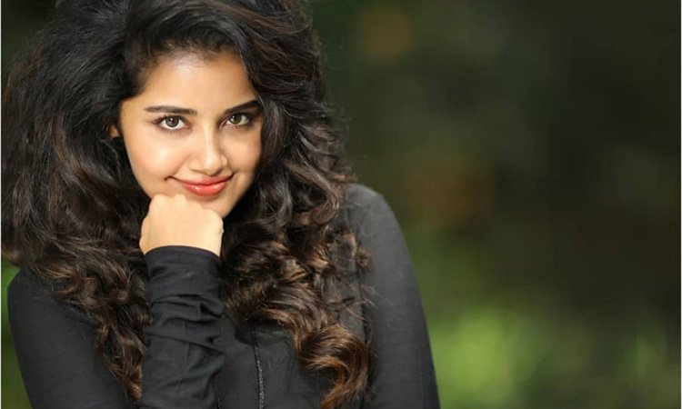 అనుపమ ఆగనంటోంది .. అన్నీ చూపించేస్తుందట ..?