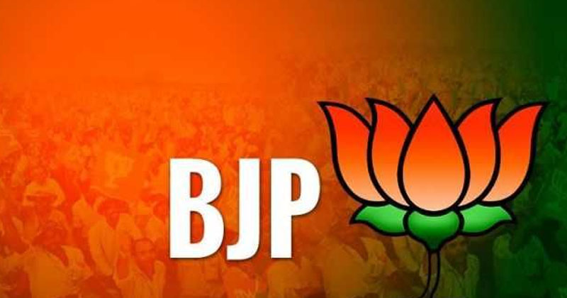 ఏపీ బీజేపీ కోసం ఆ బ్యాచ్ రంగంలోకి దిగుతోంది.. పరిస్థితి తలుచుకుంటే ఉలిక్కిపాటు 