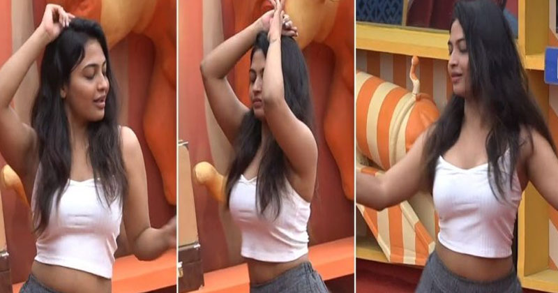 Bigg Boss 4 Telugu.. నాభి అందాల ప్రదర్శన..ఓట్ల కోసం హారిక ఎత్తుగడ