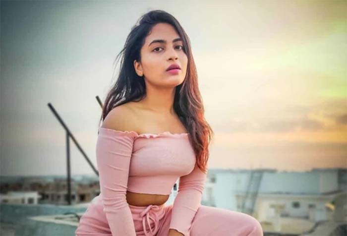 unknown facts about bigg boss 4 contestant dethadi harika alekhya