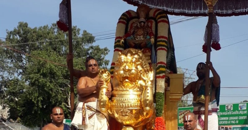 సింహవాహనంపై శ్రీవారు !