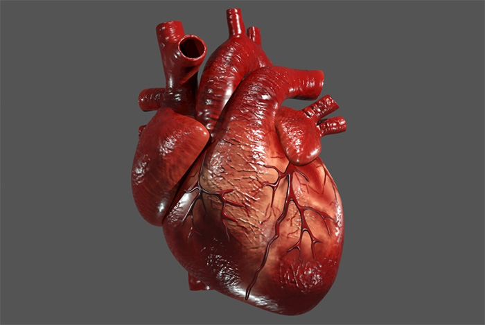 గుండె జబ్బులు, హైబీపీ ఉంటే కరోనా రిస్క్ ఎక్కువ? గుండెను పదిలంగా కాపాడుకోండిలా..!