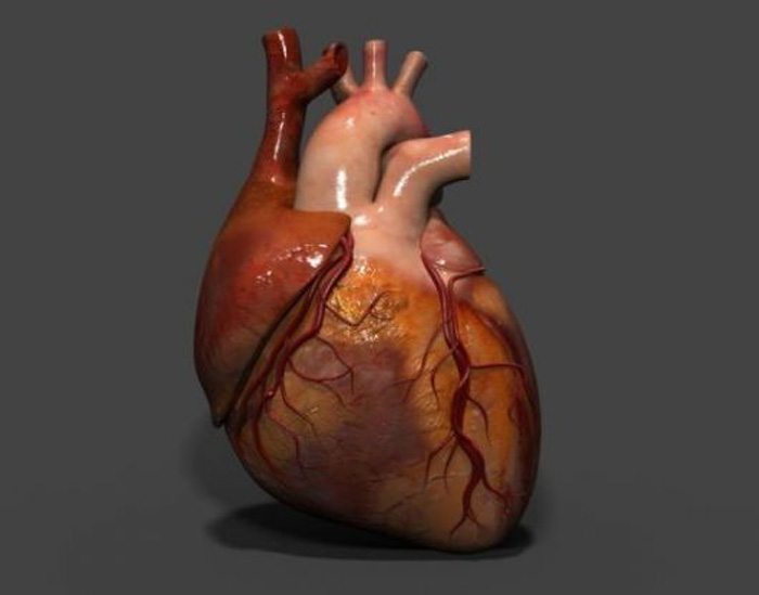 health tips for healthy heart in covid 19 situation