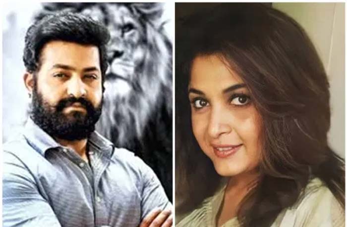 ఎవరిని తీసుకుంటారో? జూనియర్ ఎన్టీఆర్ నా? లేక రమ్యకృష్ణనా?