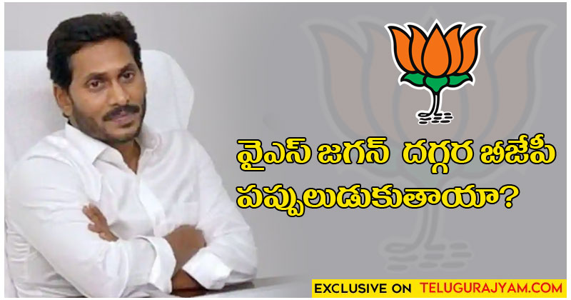 వైఎస్‌ జగన్‌ దగ్గర బీజేపీ పప్పులుడుకుతాయా.?