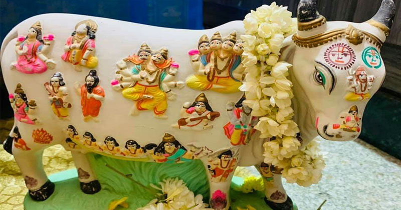 కార్తీక ఏకాదశి గోపద్మ వ్రతం !