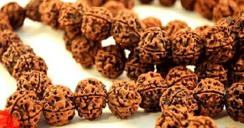 రుద్రాక్ష ధరించడానికి నియమాలు ఇవే !