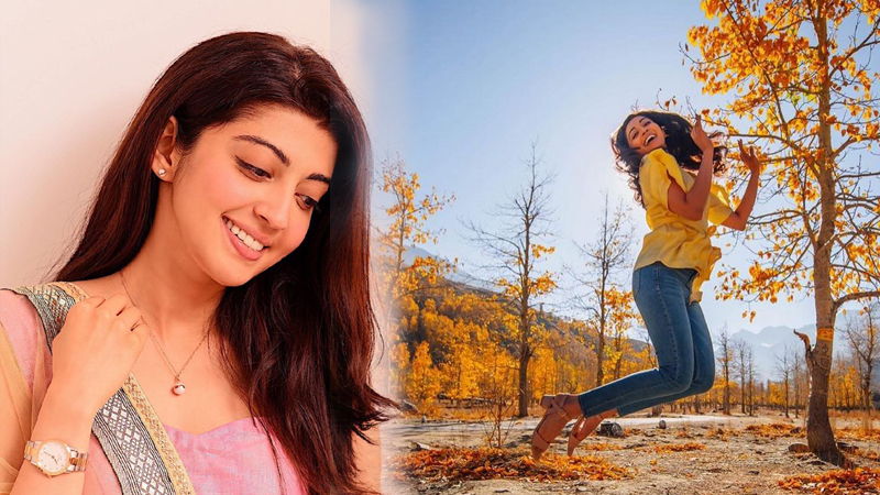 Pranitha Subhash Beautiful pics