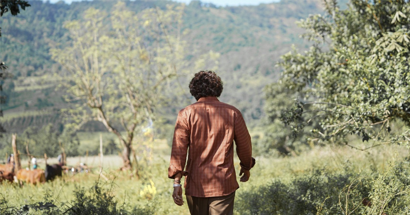 శేషాచలం అడవుల్ని హైదరాబాద్ కి తీసుకొచ్చిన సుకుమార్ !