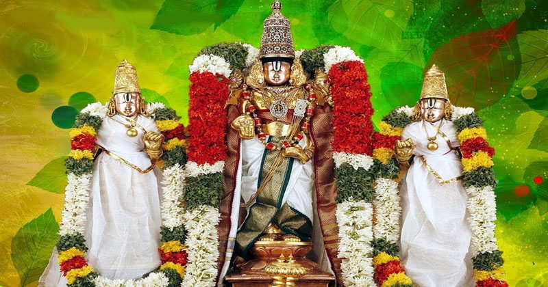 శ్రీ కళ్యాణ వేంకటేశ్వరస్వామికి పవిత్రోత్సవాలు !