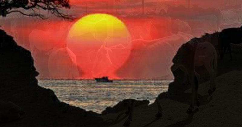 This is the result if you start working in the twilight moment