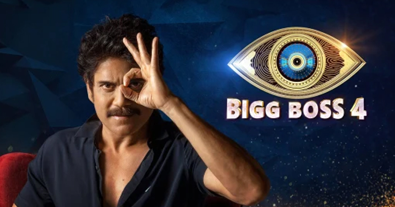 బిగ్ బాస్ 4: కుట్ర చేస్తున్న పెద్దాయ‌న‌.. అతడిని రేస్ నుంచి తప్పించే పయత్నం !
