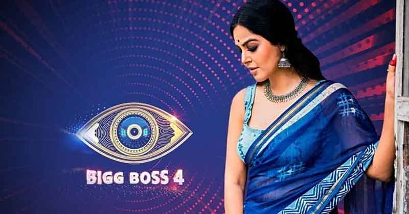 Bigg Boss 4 Telugu week 11 Monal Helped Harika In Captaincy Task