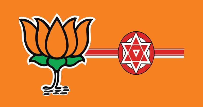 జనసేనానీ.. జనసేనకు ఎందుకీ దుస్థితి.!