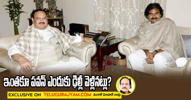 ఇంతకూ పవన్ ఎందుకు ఢిల్లీ వెళ్లినట్లు? 