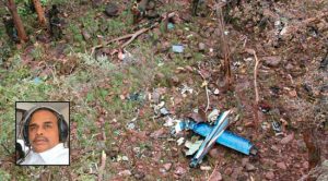 bjp,ysrcp,andhra pradesh,politics,kcr,trs,telangana