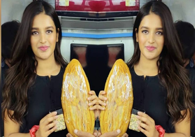 Nidhhi Agerwal Joshful Looks