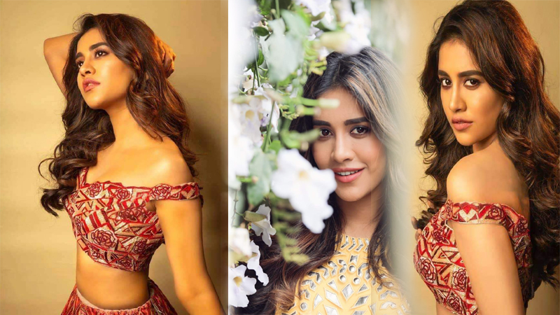 Nabha Natesh Cute Looks