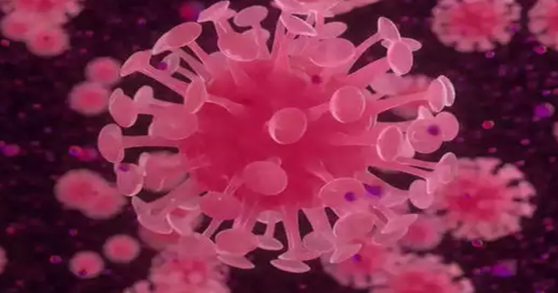 ఒక‌రి నుండి 95 మందికి సోకిన క‌రోనా.. ఇప్ప‌టి వ‌ర‌కు ఏడుగురు మృతి