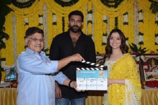 ఎఫ్- 2 మ్యాజిక్ మళ్లీ రిపీట్ చేయడానికి వచ్చేస్తోన్న “ఎఫ్-3 “