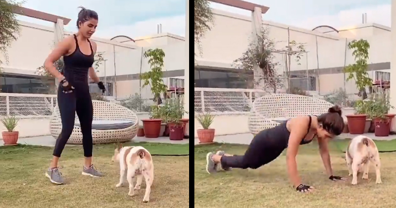 సమంతను ఎలా డిస్టర్బ్ చేస్తున్నాడో చూడండి.. వీడియో వైరల్