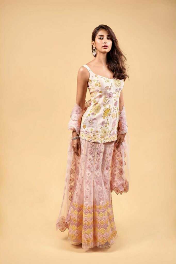 Pooja Hegde Gorgeous Images Pooja Hegde Gorgeous Images