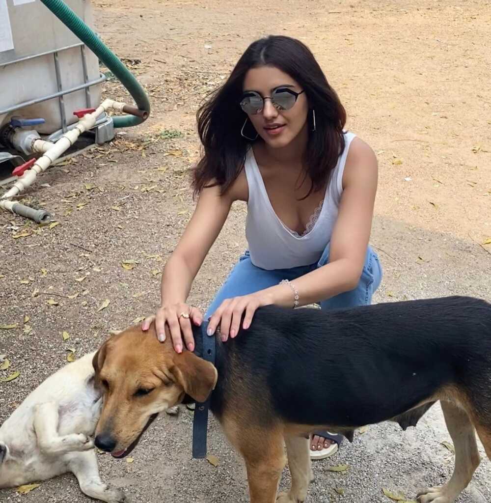 Malvika Sharma Joshful Looks Malvika Sharma Joshful Looks