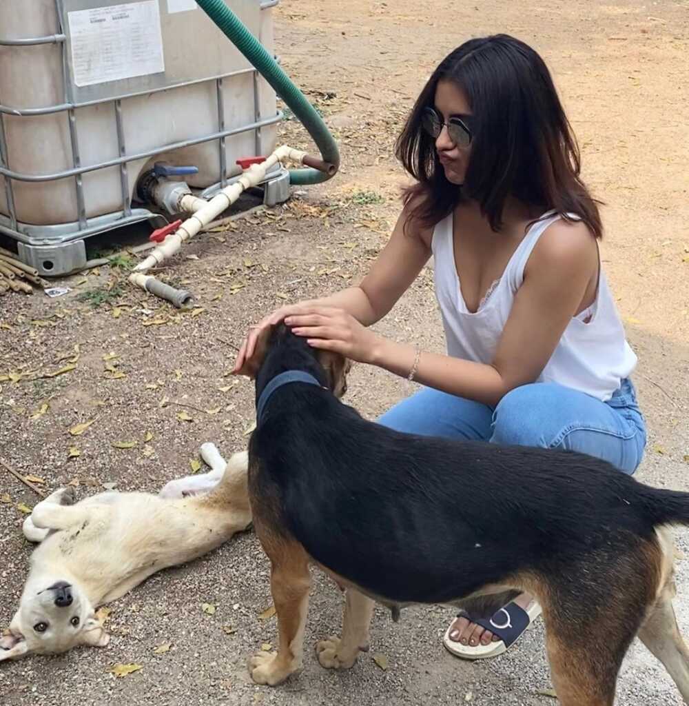 Malvika Sharma Joshful Looks Malvika Sharma Joshful Looks