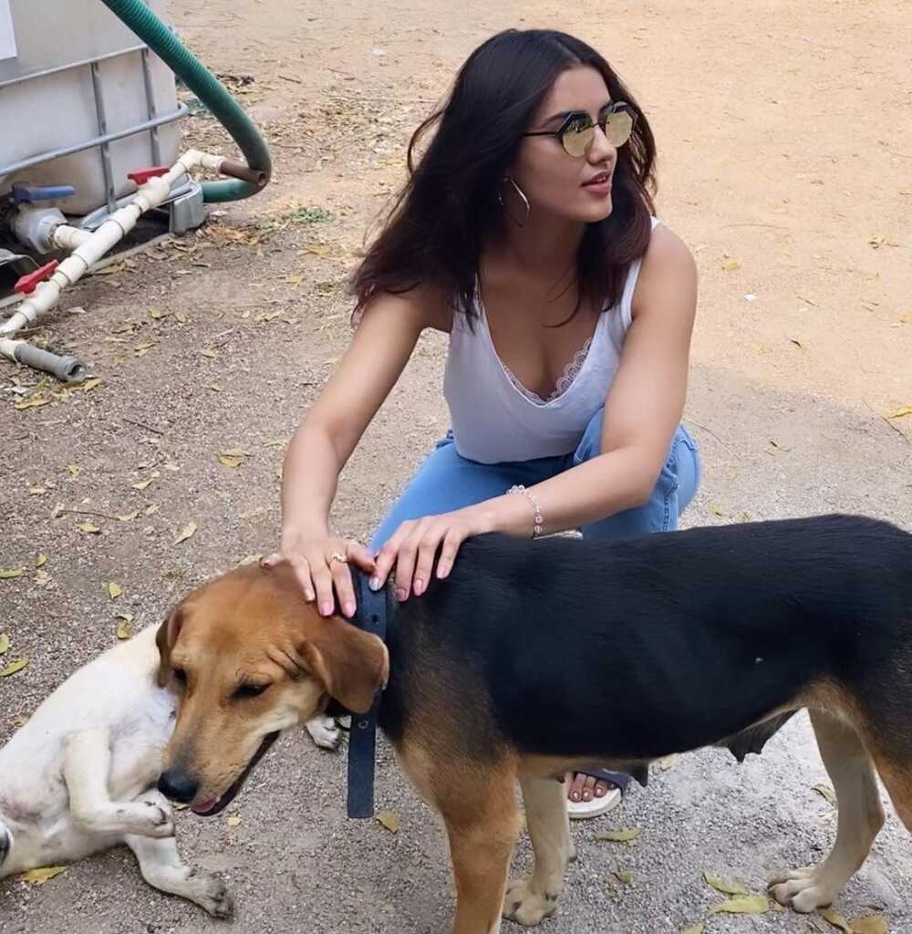 Malvika Sharma Joshful Looks Malvika Sharma Joshful Looks