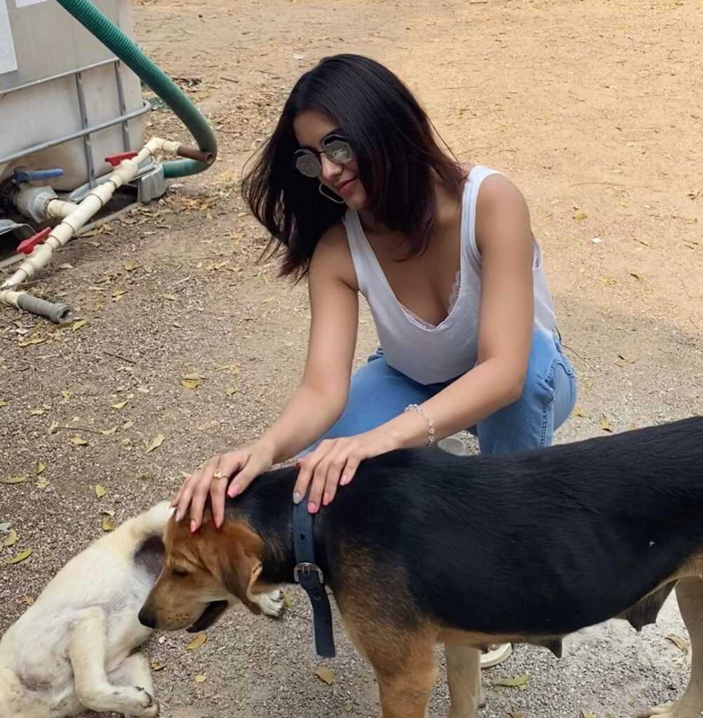 Malvika Sharma Joshful Looks Malvika Sharma Joshful Looks