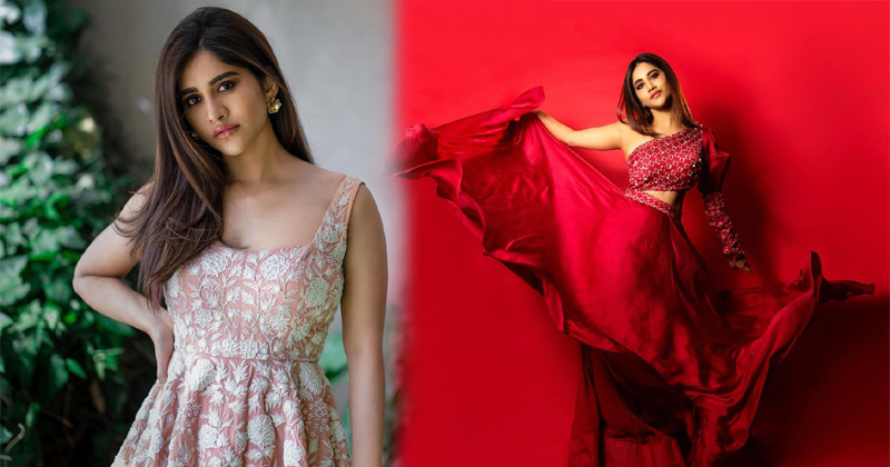 Nabha Natesh Amazing Looks