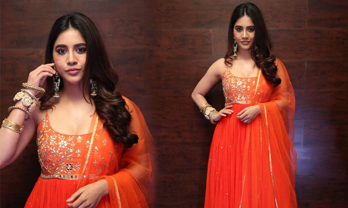 Nabha Natesh Orange Dress Pics