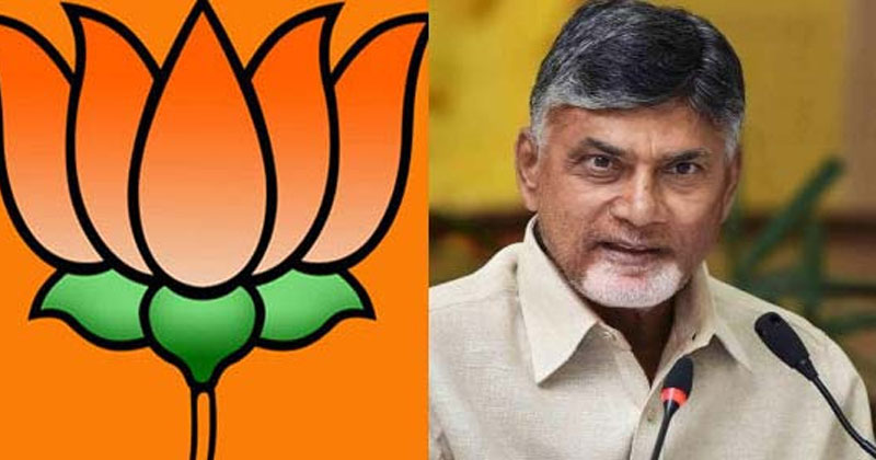 బాబే సెంటర్ ఆఫ్ అట్రాక్షన్.. బీజేపీని లేపి అవతల పడేశాడు !