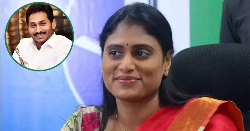 జగన్ మీదకి షర్మిల బాణం: టీడీపీ స్క్రీన్‌ ప్లే  వర్కవుటయ్యేనా.?