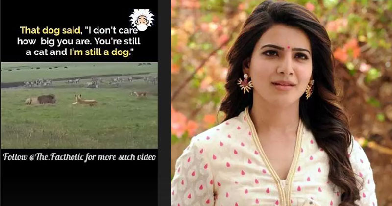 ట్రోలింగ్‌కు స్ట్రాంగ్ రిప్లై.. సమంతతో అంత ఈజీ కాదు!