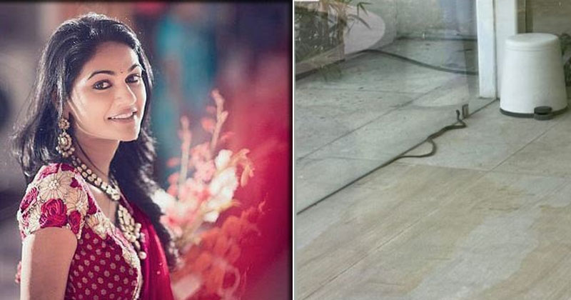 Allu Sneha Reddy about Snake Visting Home