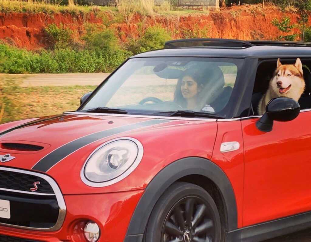 Pranitha Subhash Stylish Looks Pranitha Subhash Stylish Looks