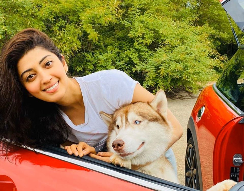 Pranitha Subhash Stylish Looks Pranitha Subhash Stylish Looks