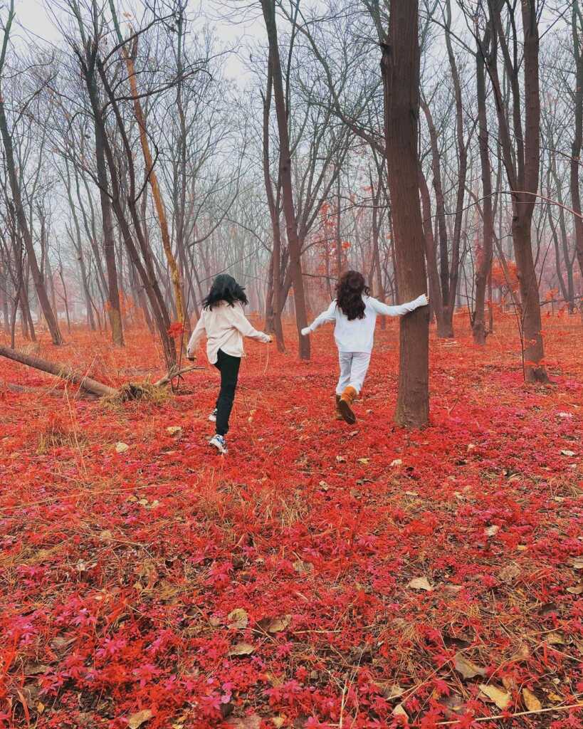 Janhvi Kapoor New Wallpapers Janhvi Kapoor New Wallpapers