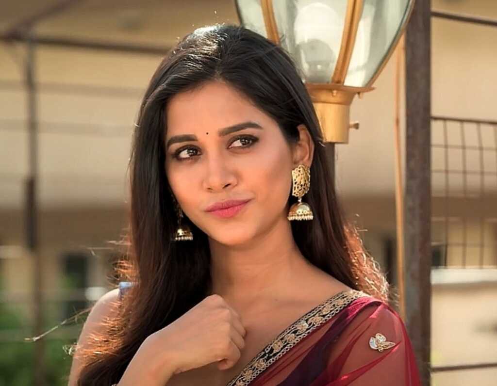 Nabha Natesh Latest Photos