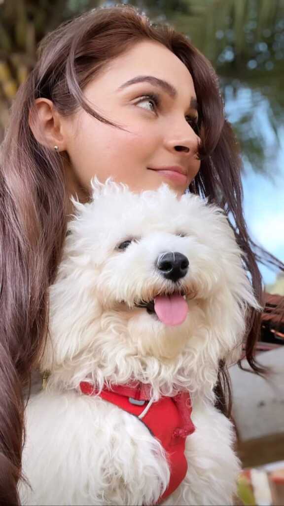 Andrea Jeremiah Recent photos Andrea Jeremiah Recent photos