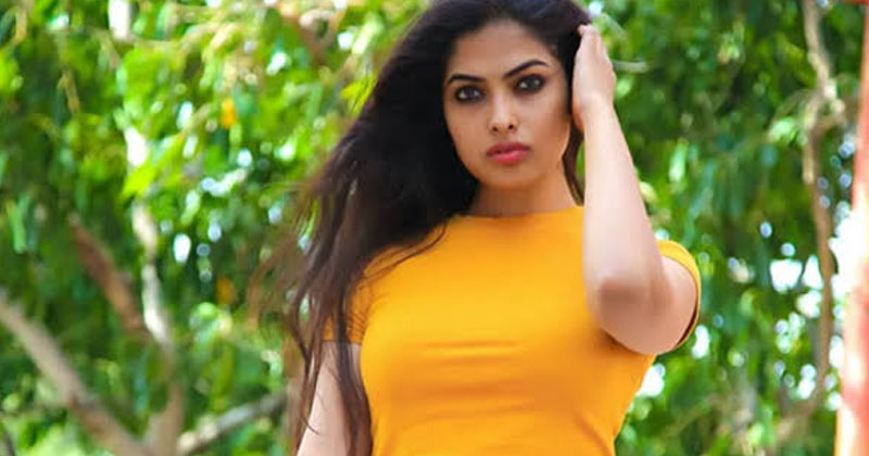 మూడు క్రేజీ ఆఫర్స్ తో బిజీగా మారిన బిగ్ బాస్ కంటెస్టెంట్ దివి