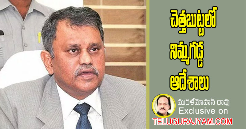 చెత్తబుట్టలో నిమ్మగడ్డ ఆదేశాలు 