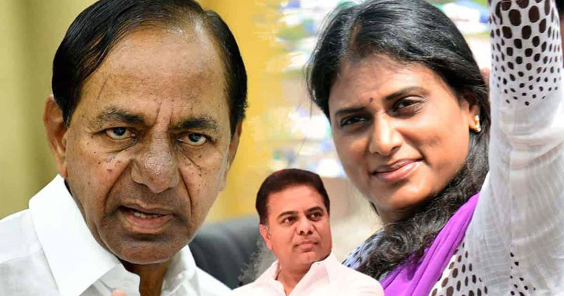 షర్మిల ఎఫెక్ట్: కేటీఆర్ భజన తగ్గింది.. కేసీఆర్‌పై ప్రేమ పెరిగింది.!