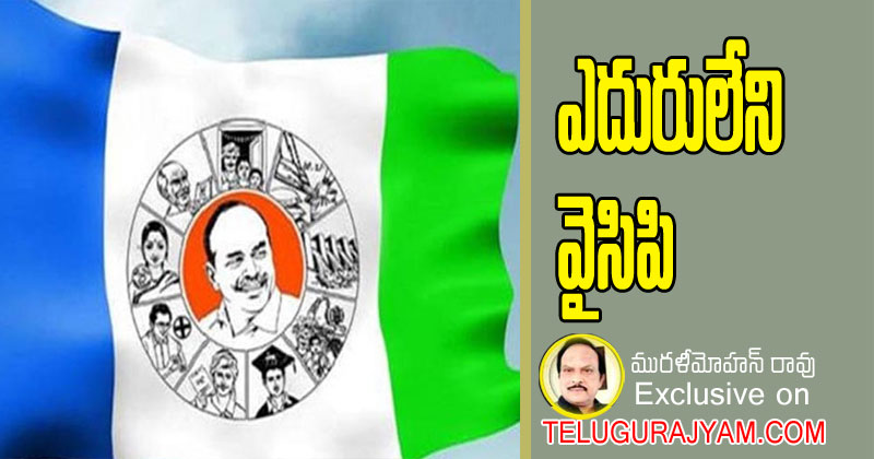 YSRCP : ఎదురు లేని వైసిపి