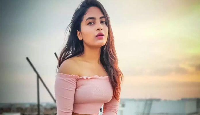 దేత్తడి హారికపై తెలంగాణ మార్కు రాజకీయం.!