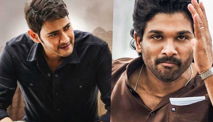 ఇదేంటి.. బన్నీ ఫ్యాన్స్ మహేష్ ఫ్యాన్స్ ఇలా కొట్టుకుంటున్నారు