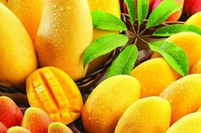 వేసవిలో ‘మామిడి’ హాయ్.. హాయ్..! అపోహలు వదిలి ఎంజాయ్..!!