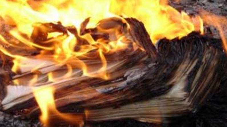 రూ. 20 లక్షల నగుదుకు నిప్పుపెట్టాడు.. అసలేం జరిగిందంటే !